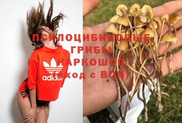 первитин Арсеньев