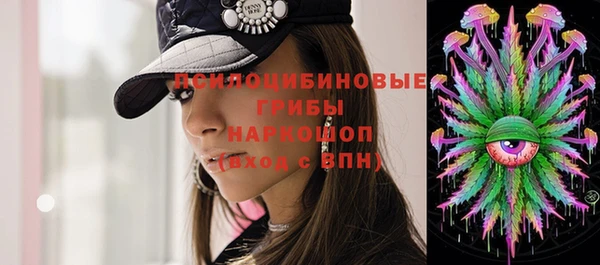 PSILOCYBIN Аркадак