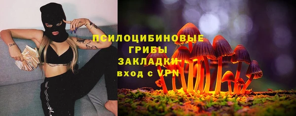 PSILOCYBIN Аркадак